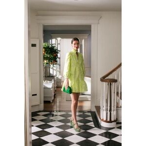 Tuckernuck | Citron Fil Coupe Palmerston Dress ~ XXXL